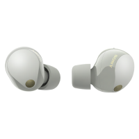 Наушники Sony WF-1000XM5, цвет платина