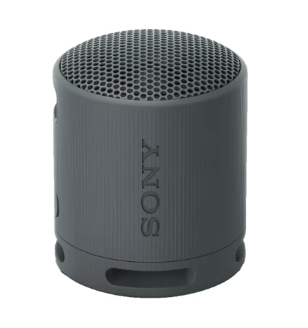 Беспроводная колонка Sony SRS-XB100, цвет черный