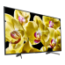 KD55XG8096BR